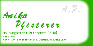 aniko pfisterer business card