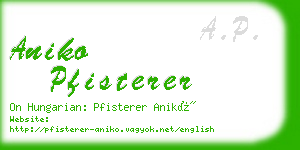 aniko pfisterer business card